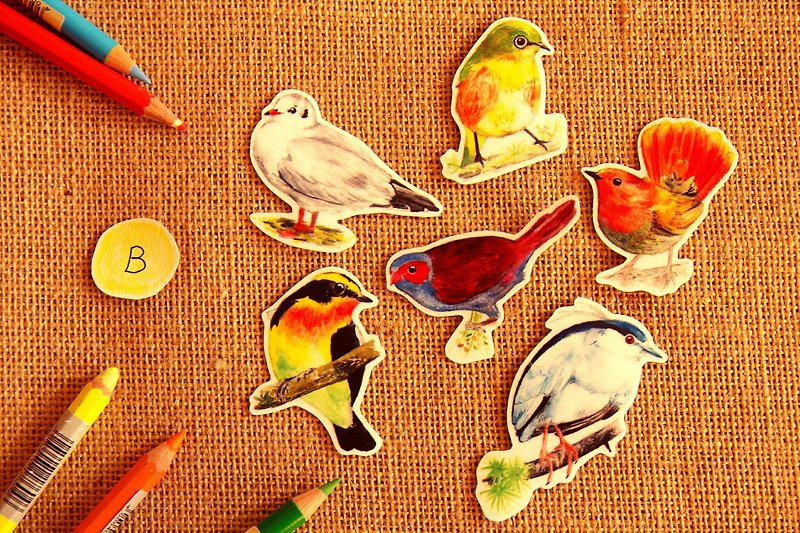 Wild birds painted waterproof stickers Group / B - สติกเกอร์ - วัสดุกันนำ้ 
