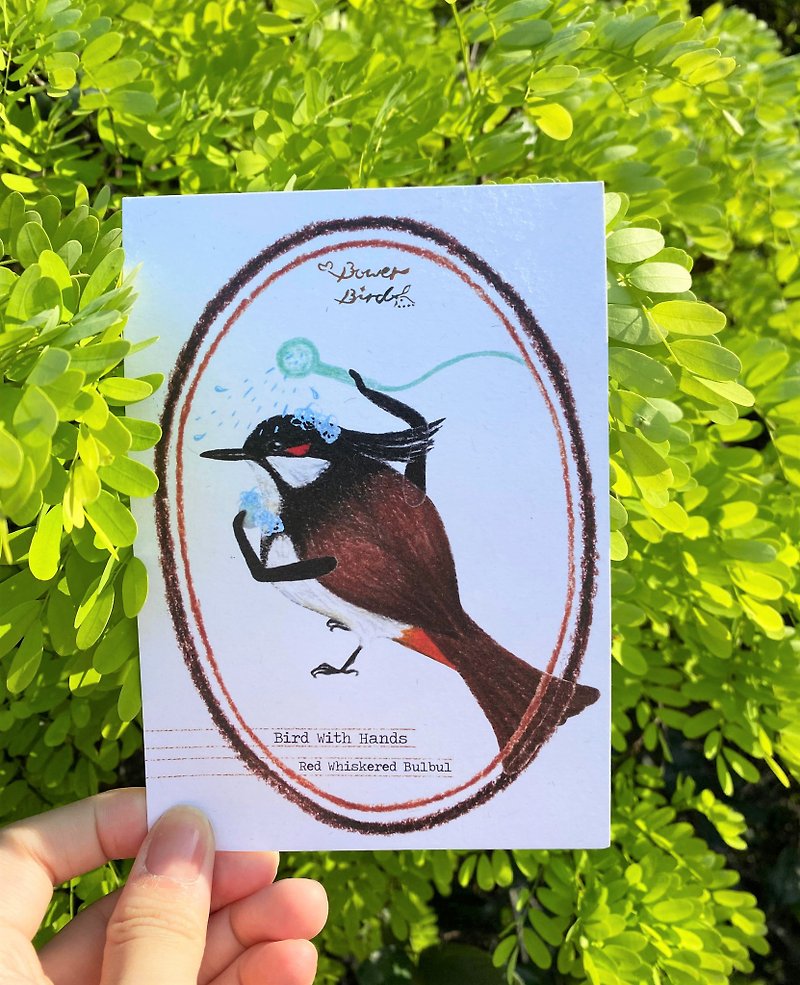 Bird with hands bathing red-eared bulbul wild bird postcard - การ์ด/โปสการ์ด - กระดาษ สีนำ้ตาล