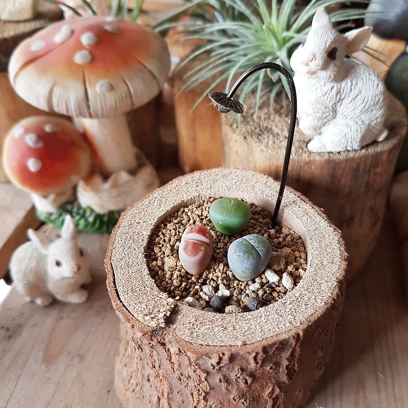 Pixies of jade grow in the tree (with plants) - Plants - Wood Brown