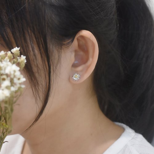 gnaph pierce