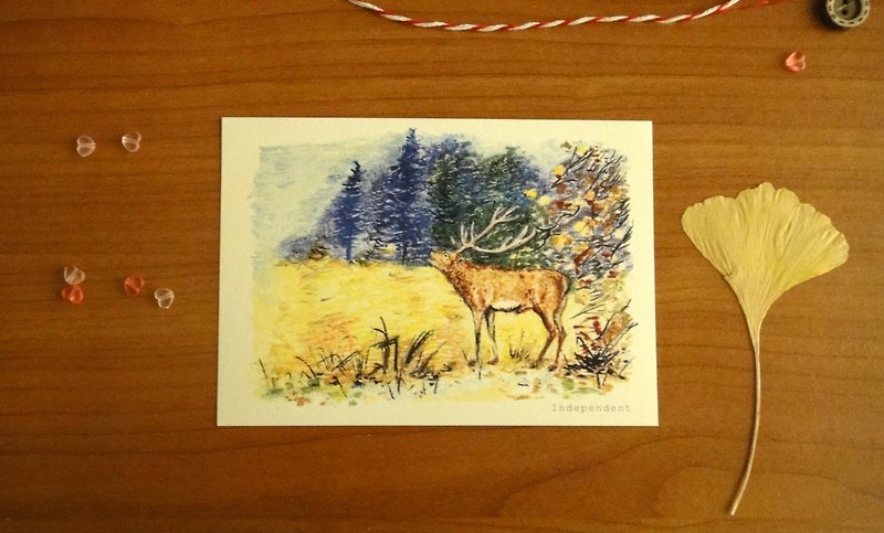 Deer postcard/card - การ์ด/โปสการ์ด - กระดาษ หลากหลายสี