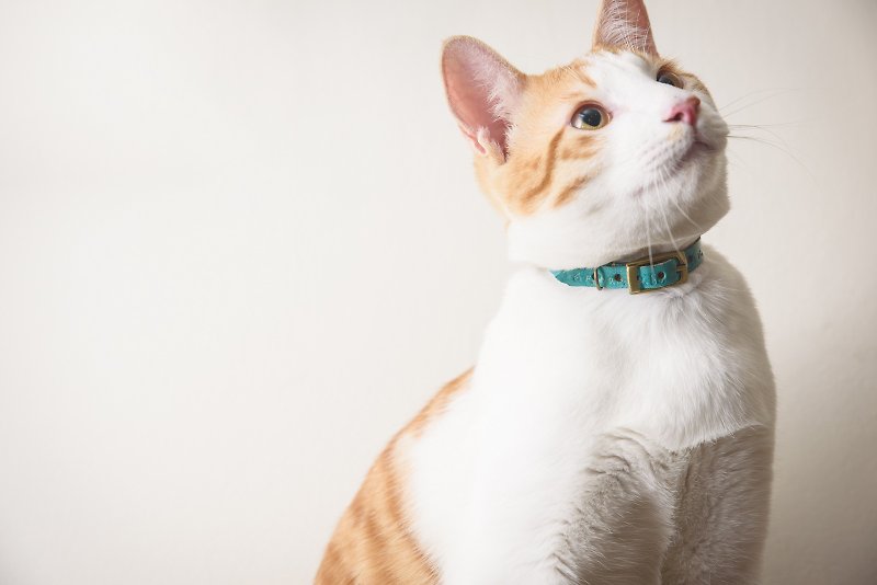 หนังแท้ ปลอกคอ หลากหลายสี - Hand-dyed leather pet collar (for cats)
