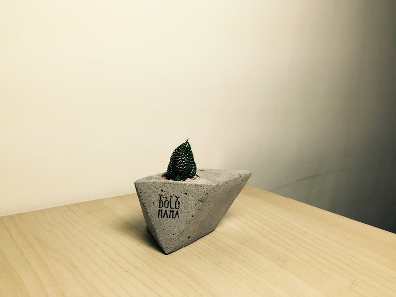 角頭 鷹爪-多肉植物 水泥盆栽 交換禮物 - 盆栽/植栽 - 其他材質 灰色