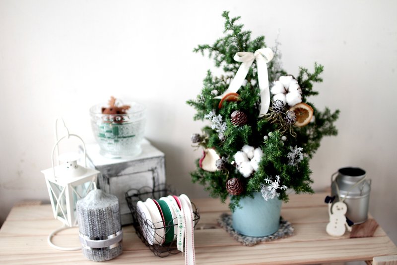聖誕樹_新鮮葉材與乾燥花 - 裝飾/擺設  - 植物．花 綠色