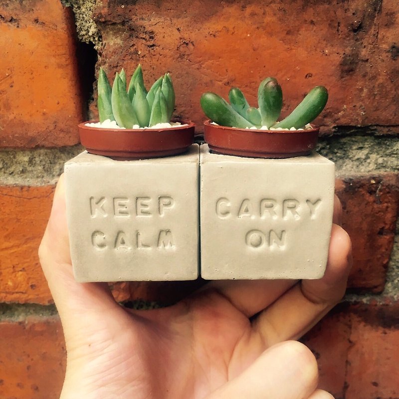 Keep Calm&Carry on 保持冷靜 堅持下去 磁鐵盆栽組 - 植栽/盆栽 - 水泥 灰色