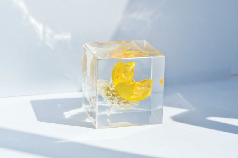 Three-dimensional square dried flowers decoration - yellow fruit crape myrtle - จัดดอกไม้/ต้นไม้ - พืช/ดอกไม้ สีเหลือง