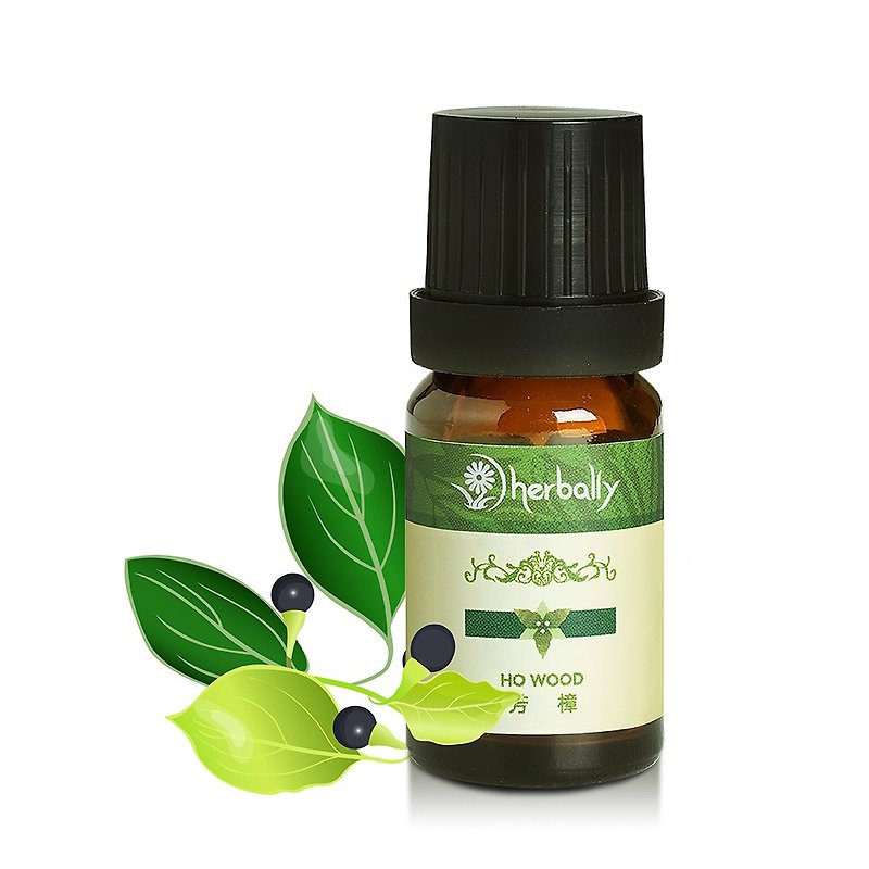 Pure natural single essential oil-Cinnamomum camphora [the first choice for non-toxic fragrance] - น้ำหอม - พืช/ดอกไม้ สีเขียว
