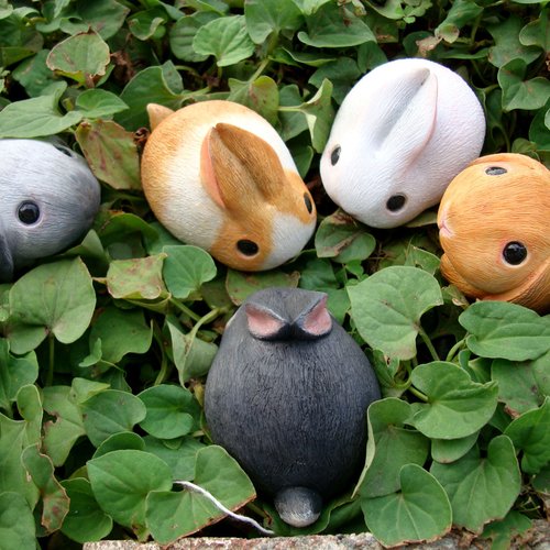 Healing Rough Roller Series - Rabbit Bunny Rabbit / Bunny