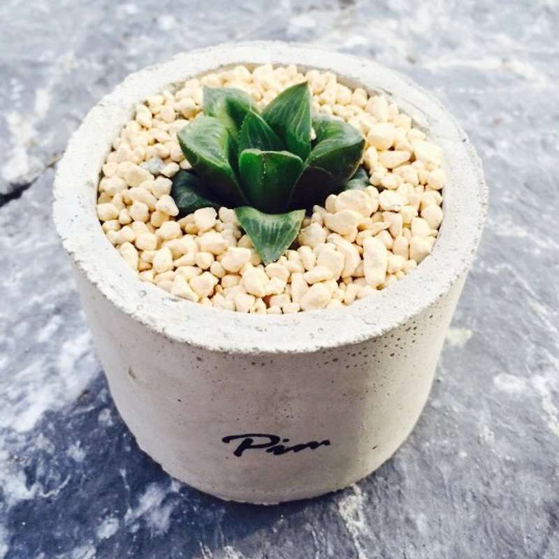 [Flora and fauna] handmade cement pots. Nine No. [excluding plant] - Plants - Cement Gray