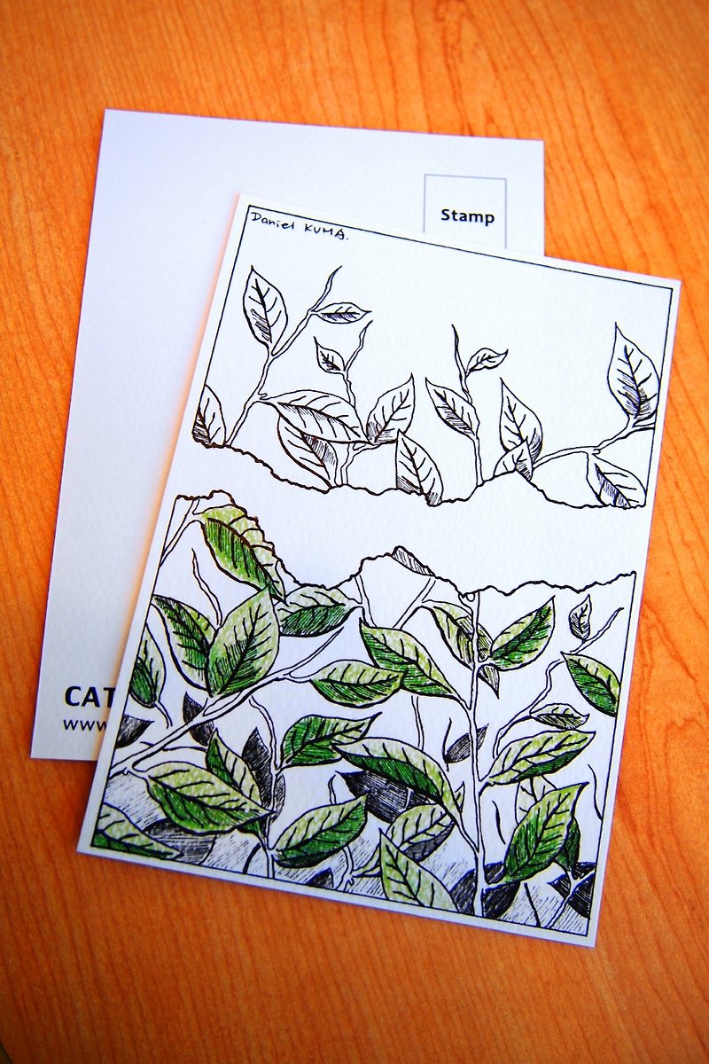 Postcard - green leaves - การ์ด/โปสการ์ด - กระดาษ ขาว