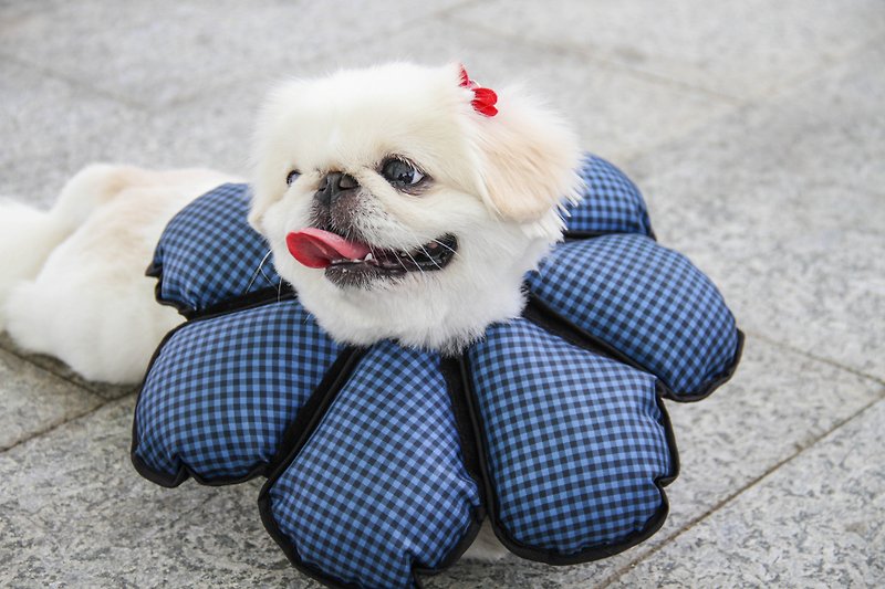 Petals Flowers pet anti-licking fine temperament checkered blue headgear [] (are size 1 = XS)**Taiwan's new patented design ** ** water repellent with** - Other - Other Materials Blue
