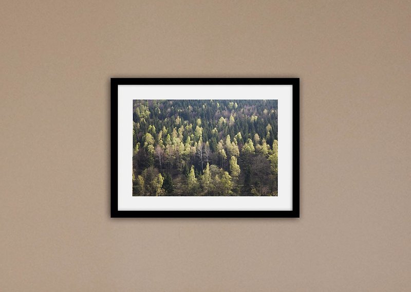色とりどりの森の写真撮影（枠なし・値上げ箱なし） - ポスター・絵 - 紙 グリーン