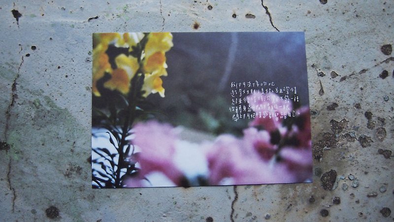 Tonight I hand - we kiss it / Postcards - Cards & Postcards - Paper Purple