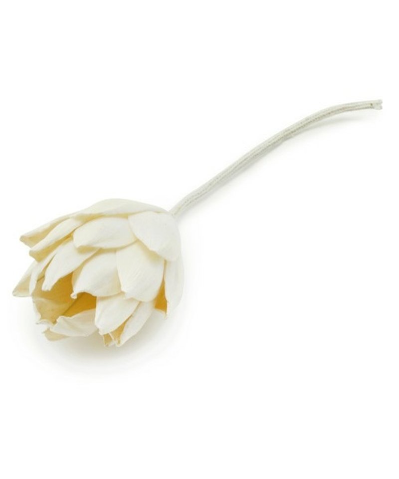 Japan GoodyGrams FIGMENT Fragrant Flower - Protea King Flower (White) - น้ำหอม - วัสดุอื่นๆ ขาว