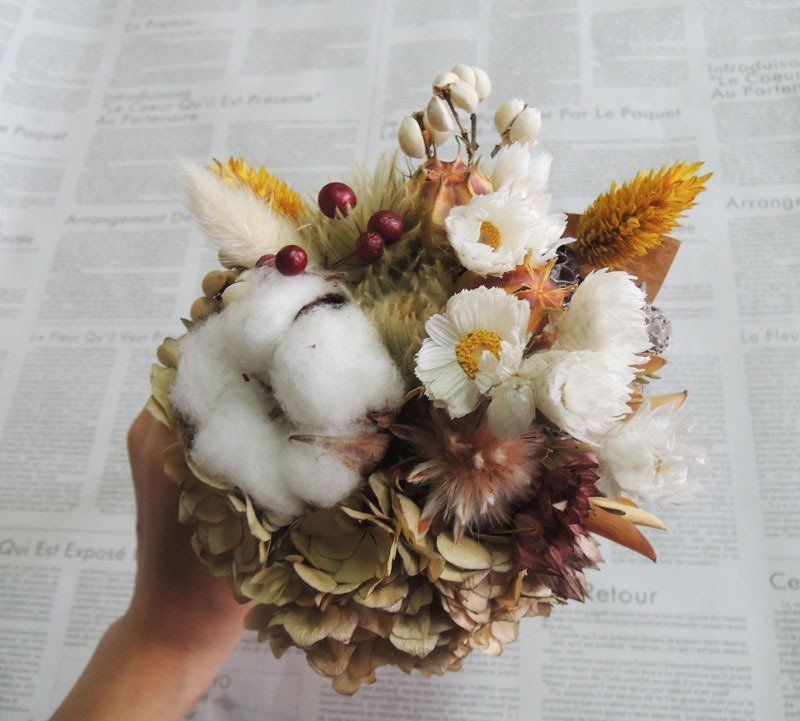 微甜‧圈 手作 甜筒冰淇淋 重瓣繡球 棉花 緞帶 小花束 乾燥花束 婚攝 自助婚紗 - 盆栽/植栽 - 植物．花 橘色