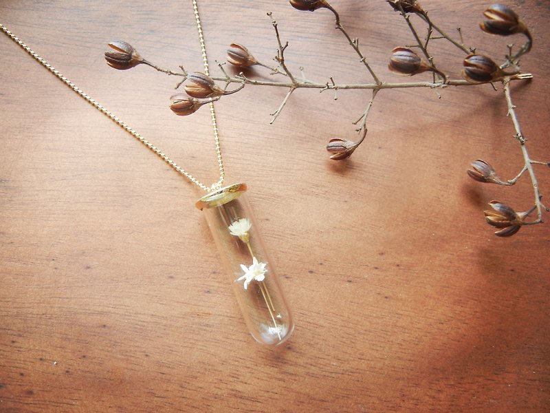 *coucoubird*Brazilian star chrysanthemum test tube necklace-long chain (bead chain) - สร้อยคอ - แก้ว สีทอง