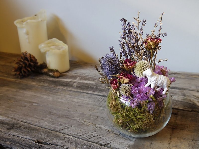 Autumn wind blowing - purple planet dry potted flowers - Plants - Plants & Flowers Purple