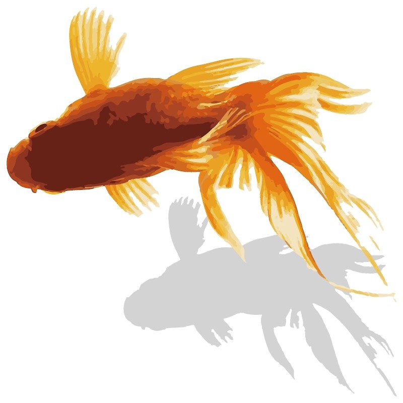 JIELIN壁貼Goldfish(25682) - Wall Décor - Plastic White