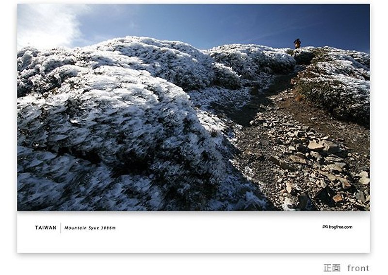 Snow Mountain Card - Frost-covered mountains Rhododendron - การ์ด/โปสการ์ด - กระดาษ 