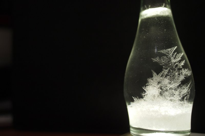 玻璃 裝飾/擺設  白色 - 小酒瓶天氣瓶 Storm Glass 結晶風暴玻璃 預測天氣的神秘結晶禮物