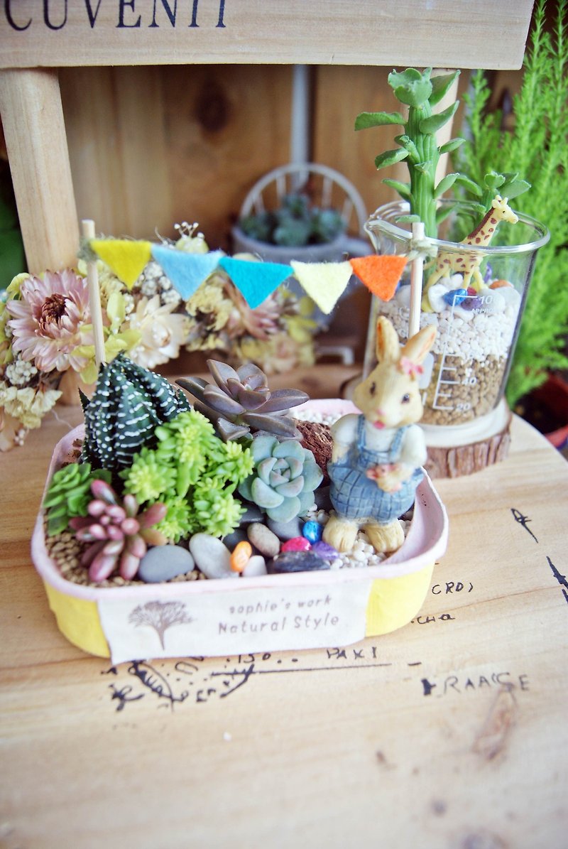 Lively fun fairs X Creative green square cans planting (the remaining 1 group sold off the shelf) - Plants - Plants & Flowers 