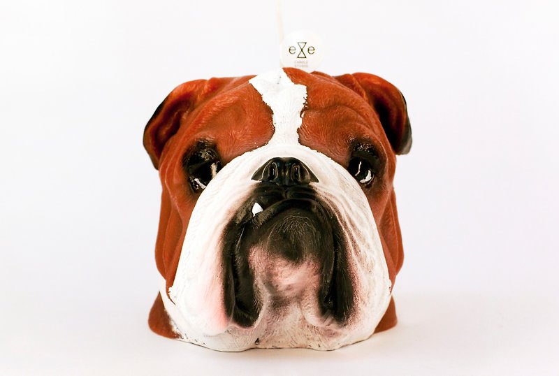 彩繪版英國鬥牛犬 狗造型蠟燭 Painted Bulldog Candle - 香氛蠟燭/燭台 - 蠟 咖啡色