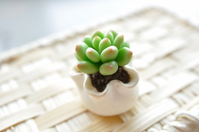 Sweet Dream☆Mini Clay Bionic Succulent Plant Small Pot/Blue Star Beauty - ของวางตกแต่ง - ดินเหนียว สีเขียว