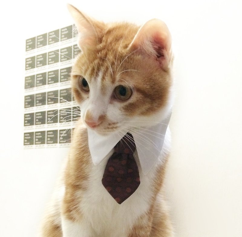 貓咪的禮服-領帶/領結 - 貓/狗玩具 - 其他材質 黃色