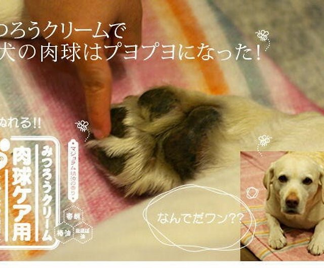 日本原裝進口天然蜜蠟霜肉球犬貓腳掌專用蜜蠟霜10g 無香 設計館微森林 藏溫手感 Pinkoi