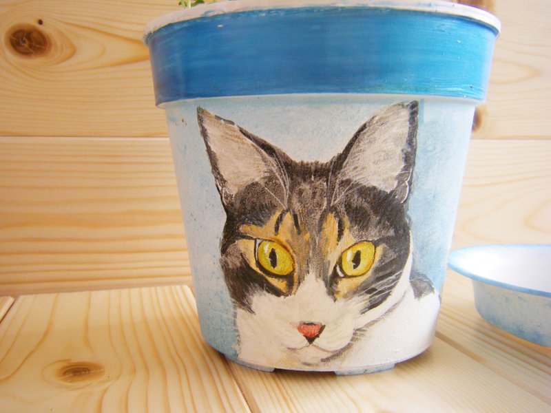 Cat / flower pot - ตกแต่งต้นไม้ - พลาสติก สีน้ำเงิน