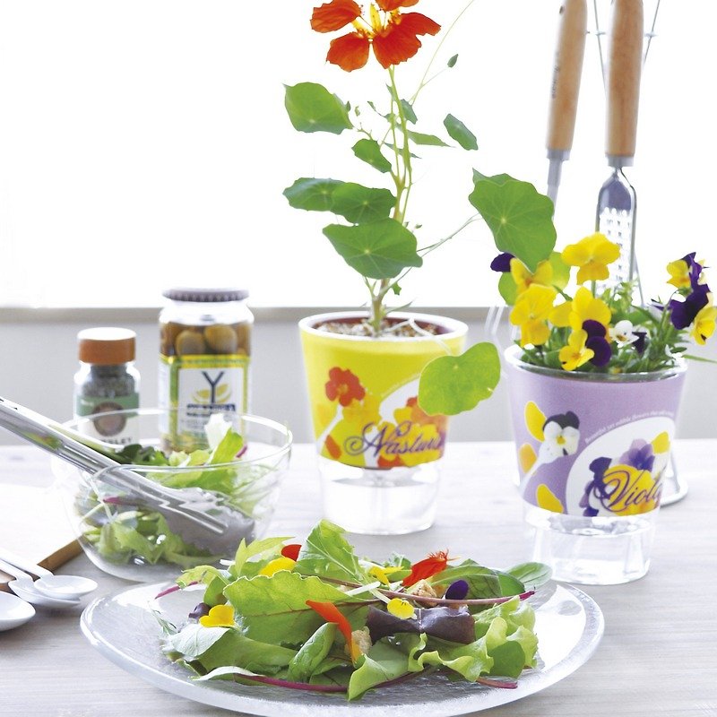 【福利品特賣】Edible flower garden 可食用水耕種植組 / 矮牽牛 - 植栽/盆栽 - 塑膠 紫色