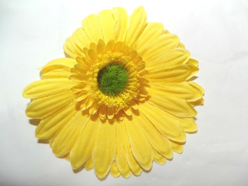 馨彩太阳菊-黄色