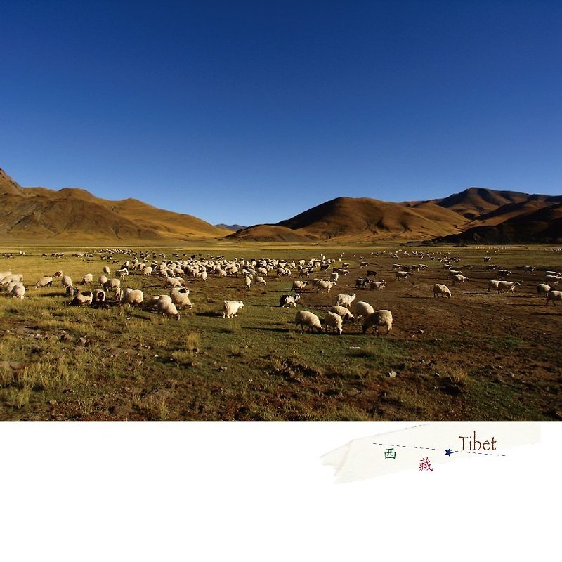 Tibet Travel Photography Postcard - การ์ด/โปสการ์ด - กระดาษ 