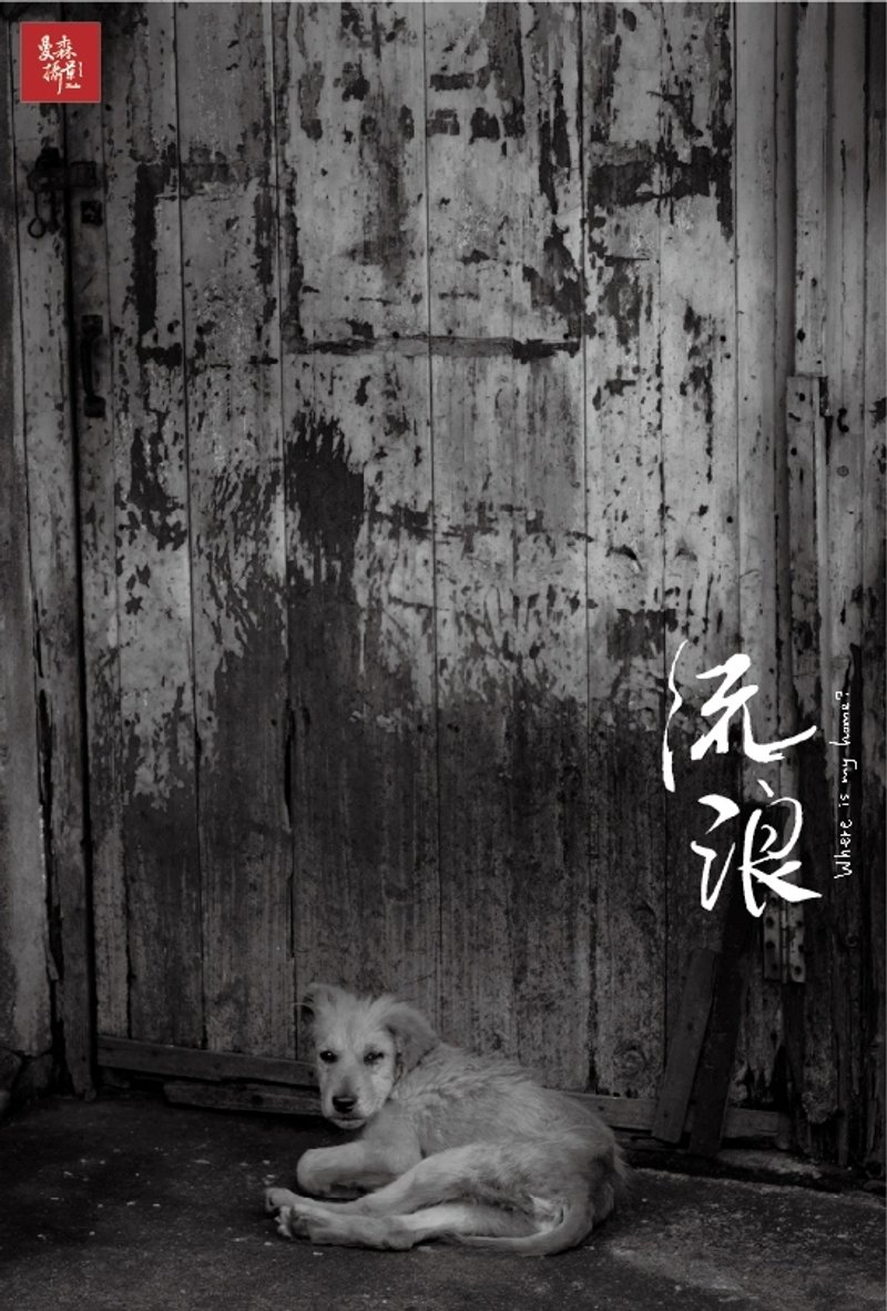 明信片 / 流浪攝影紀實系列 # 07 ‧ 在這等你 - 卡片/明信片 - 紙 黑色
