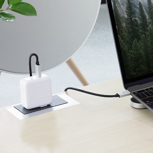 Just Mobile AluCable 鋁質USB-C to USB-C連接線 DC-368
