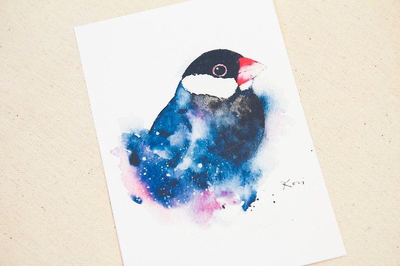 黑文鳥 手繪水彩風格明信片 - 卡片/明信片 - 紙 多色