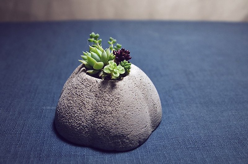 <Cake Hill> Succulents potted cement Cake Hill <Cake Hill> Succulents - ตกแต่งต้นไม้ - ปูน สีเทา
