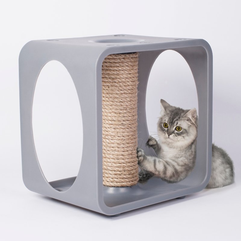 พลาสติก ของเล่นสัตว์ สีส้ม - [STUDIO MANGO] Cat Strap Spring KITTY KASA-GYM Combination Cat House (* Coffee)