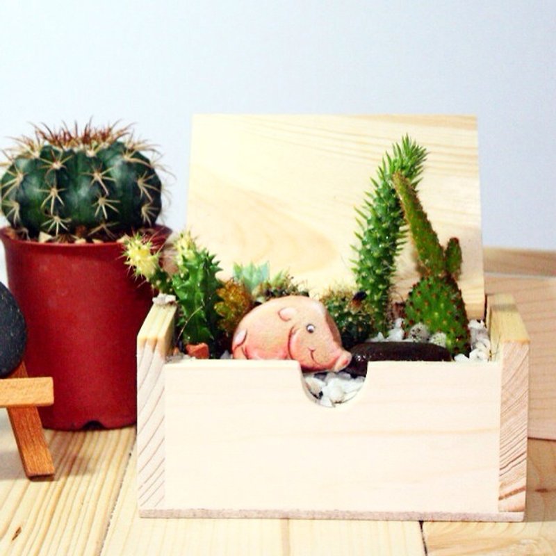 東聞西聞的小豬石頭插畫（含 10*10 公分木盒） - 盆栽/花藝 - 植物．花 粉紅色