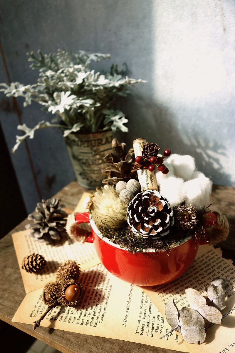 冬季限定|ハッピークリスマスの花の松果体備備 - フラワー/ガーデン - 寄せ植え・花 レッド