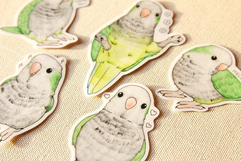 Monk parrot sticker set - สติกเกอร์ - กระดาษ 