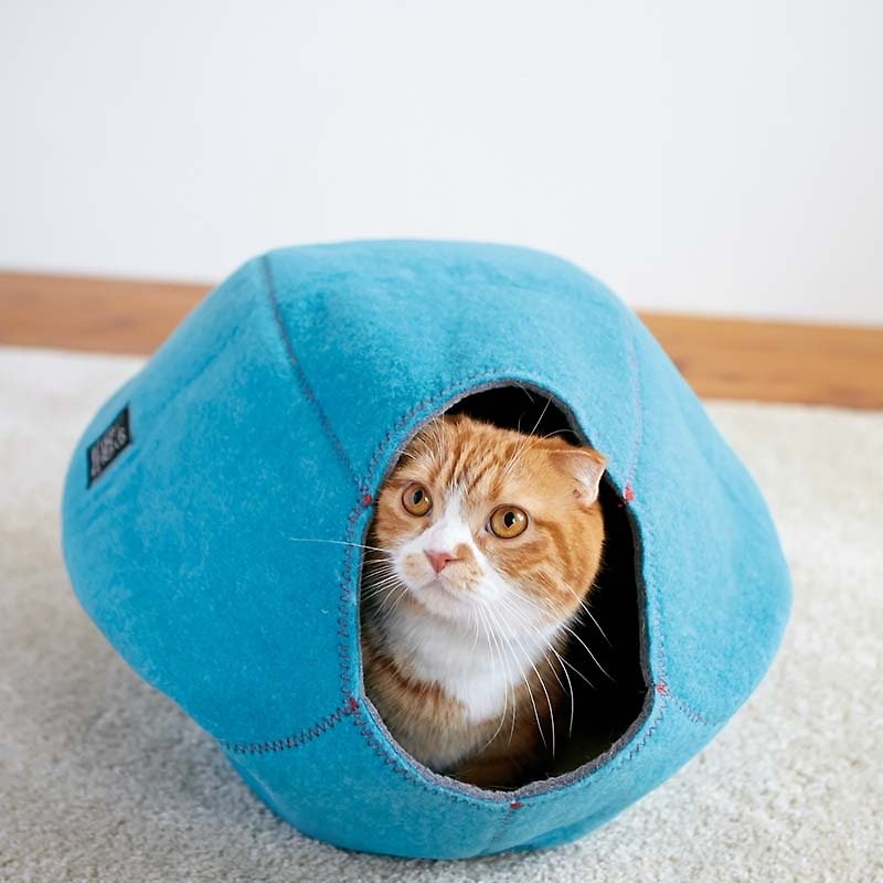 Lifeapp Petting Cat Nest（ネイビーブルー） - 寝具 - その他の素材 多色