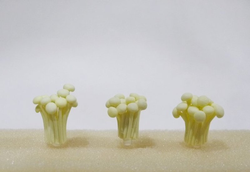 +防塵塞+金針菇 - 其他 - 其他材質 白色