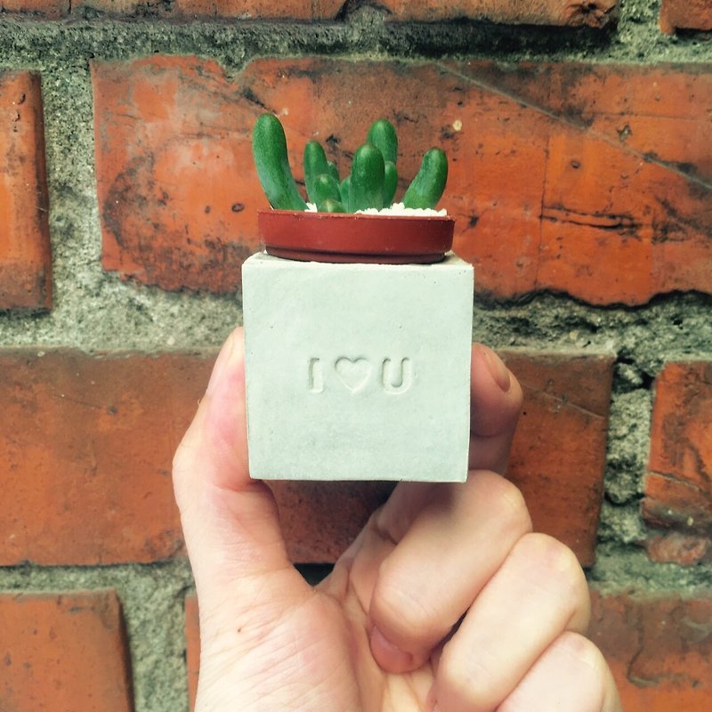 I Love U~! (Love Model) Succulent Magnet Potted Plant - ตกแต่งต้นไม้ - ปูน สีเทา
