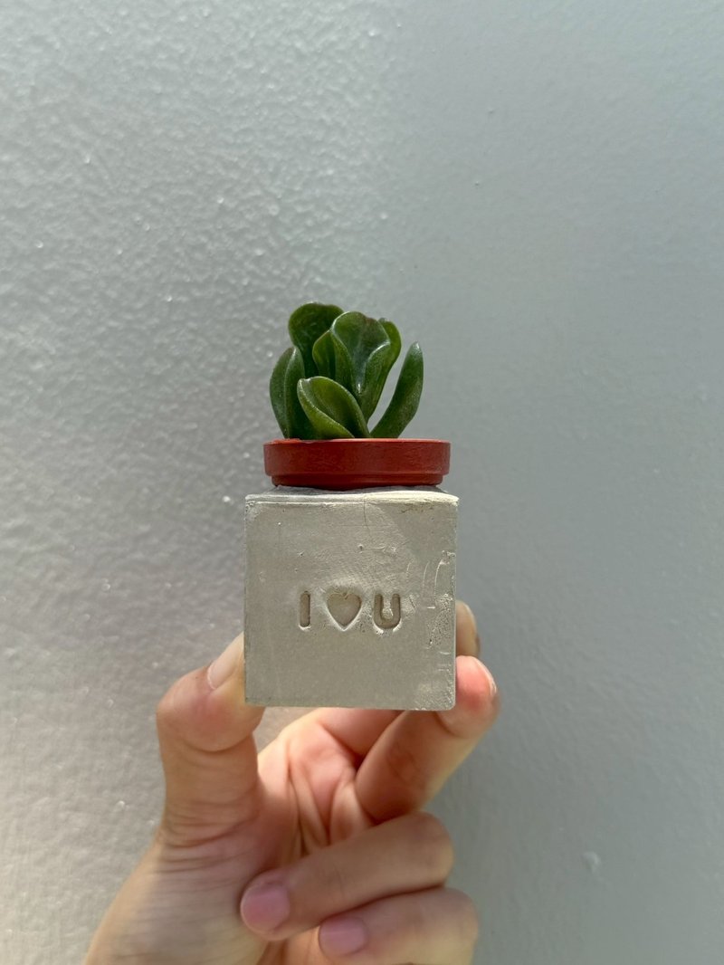 I Love U~!(愛心款) 多肉磁鐵盆栽 - 盆栽/植栽 - 水泥 灰色