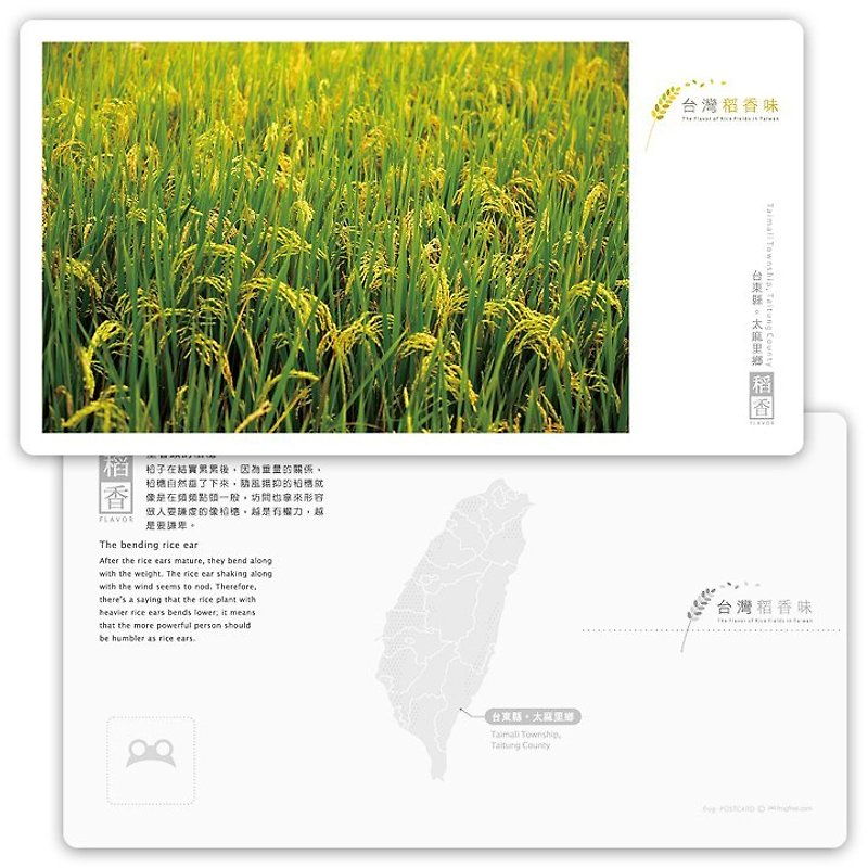 Taiwan rice fragrance postcard [Tao Heung Series] - bowed his head rice - การ์ด/โปสการ์ด - กระดาษ 