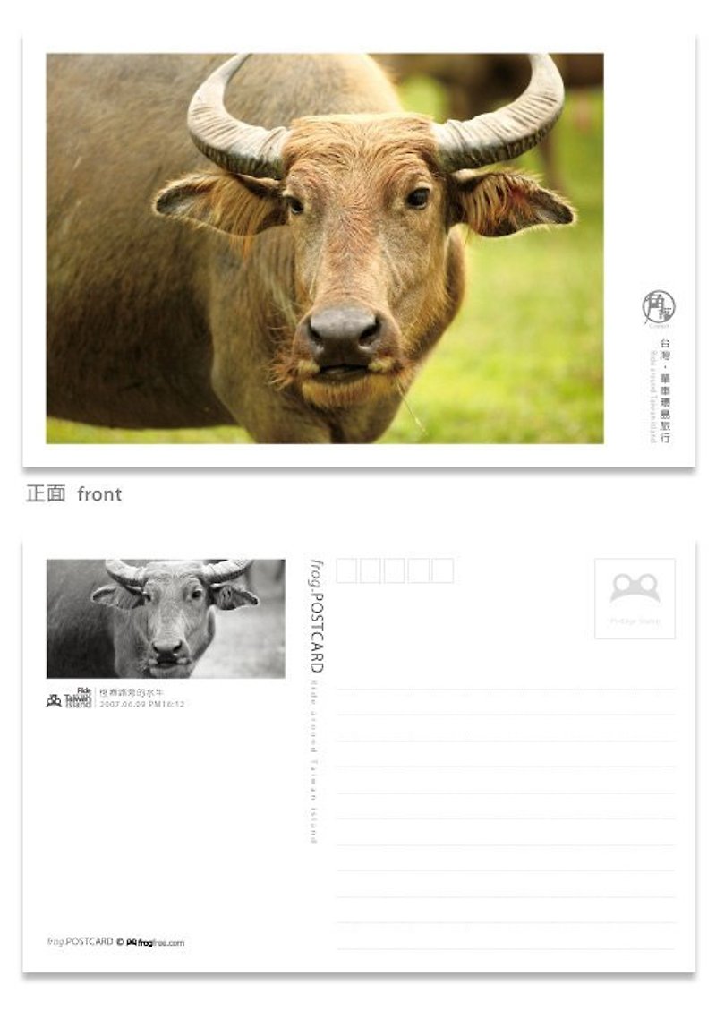Taiwan ‧ bicycle trip around the island postcard beautiful corner series - Hengchun street buffalo - Cards & Postcards - Paper 