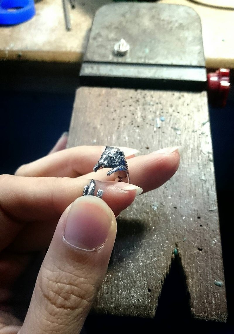 ▽- Ferret -▽925 silver  / Ring - แหวนทั่วไป - โลหะ สีน้ำเงิน