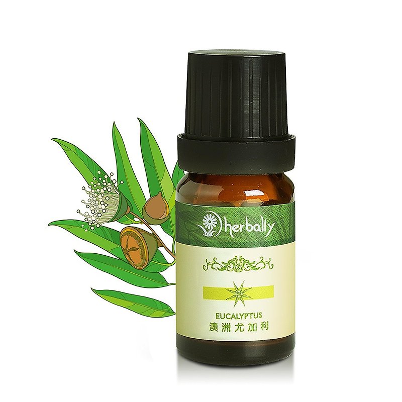 Pure natural single essential oil-Eucalyptus [the first choice for non-toxic fragrance] - น้ำหอม - พืช/ดอกไม้ สีเขียว