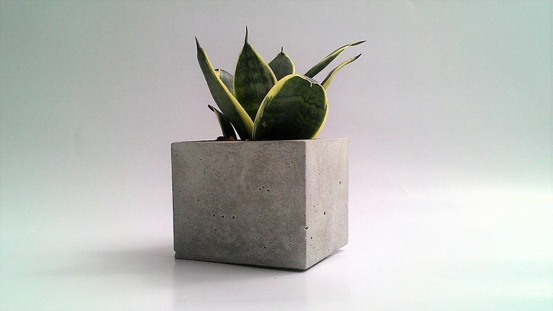 [Square pot - ash] cement flower / cement pots / cement potted / Cement planting / cement basin is (. Excluding plant rock soil) - ตกแต่งต้นไม้ - ปูน สีเทา